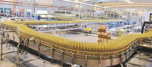 不吃老本 再立新功 南疆师市聚力打造“成本洼地”，构筑“投资高地”